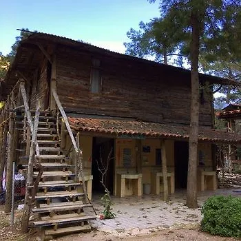 Kadirs Tree 2* Kumluca