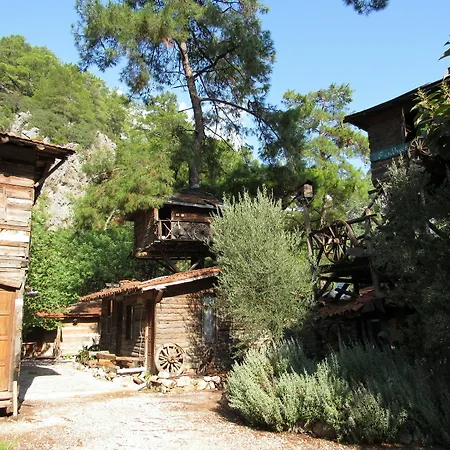 Hotel Kadirs Tree