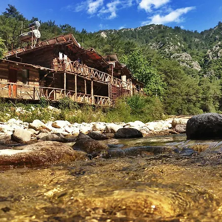 Hotel Kadirs Tree